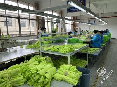 新春新氣象，赤壁服裝企業設計先行，全力沖刺“開門紅”
